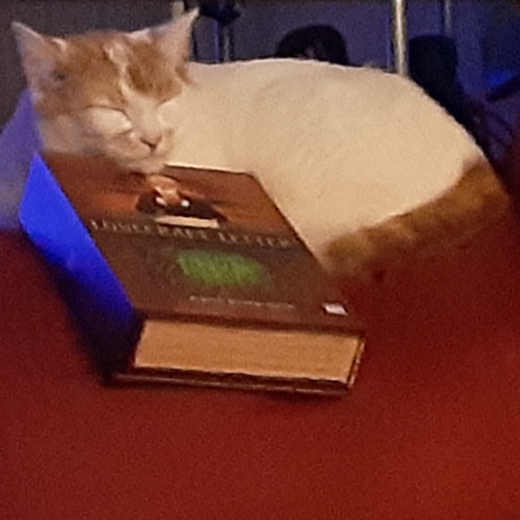 Guess who? - Picture 1 of 1